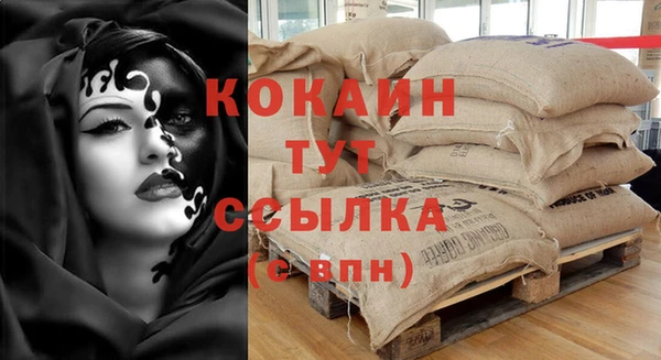 ГАЛЛЮЦИНОГЕННЫЕ ГРИБЫ Ладушкин