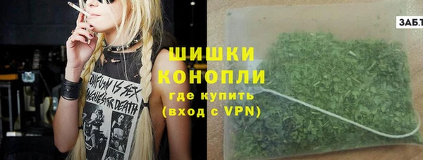 ГАЛЛЮЦИНОГЕННЫЕ ГРИБЫ Ладушкин